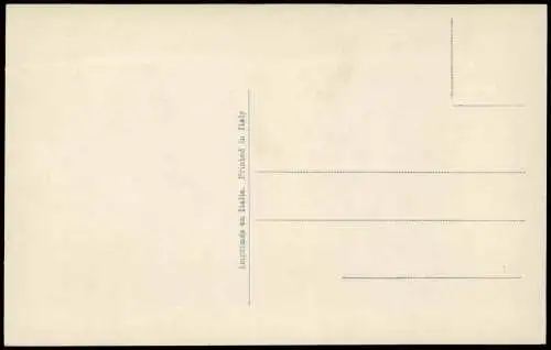 Cartoline .Italien Italia Lago Maggiore Isola Madre (Fernansicht) 1920