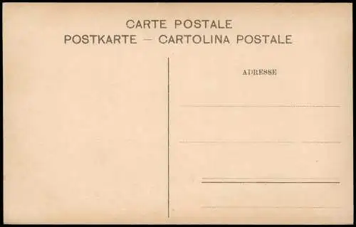 San Felice del Benaco Isola di Garda (Lago die Garda, Gardasee) 1905