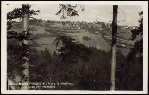 Ansichtskarte Hohegeiß-Braunlage Panorama-Ansicht Blick vom Wolfsberg 1942