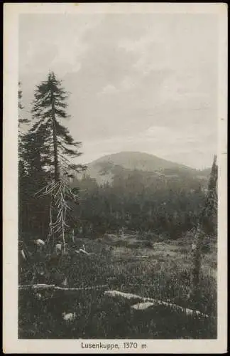 Ansichtskarte Finsterau Lusenkuppe, 1370 m Lusen 1923