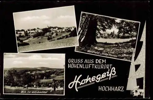 Hohegeiß-Braunlage Mehrbildkarte Wolfsbachtal Waldhotel Dicke Tannen 1960