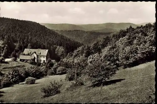 Hohegeiß-Braunlage Waldhotel Dicke Tannen, Hochharz-Panorama 1961