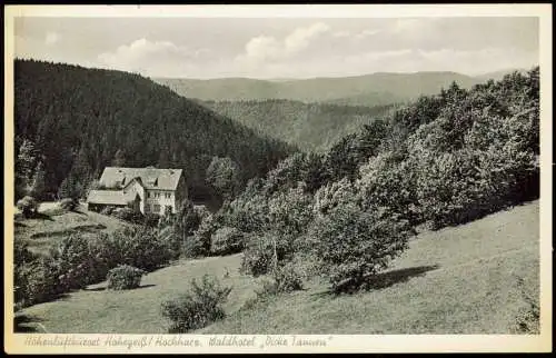 Hohegeiß-Braunlage Waldhotel Hotel Dicke Tanne im Hochharz 1958