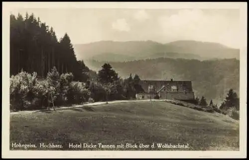 Hohegeiß Braunlage Hochharz Hotel Dicke Tannen Blick über d. Wolfsbachstal 1930