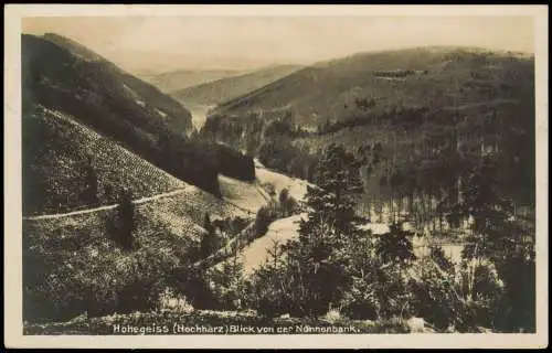 Hohegeiß-Braunlage Umland-Ansicht Hochharz Blick von der Nonnenbank 1933