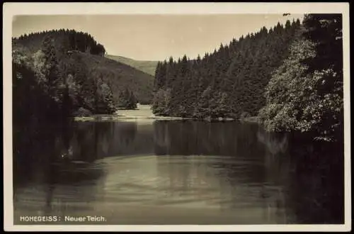 Ansichtskarte Hohegeiß-Braunlage Umland-Ansicht, Neuer Teich, Hochharz 1930