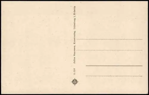 Ansichtskarte Hohegeiß-Braunlage Umland-Ansicht Hochharz Dicke Tannen 1910