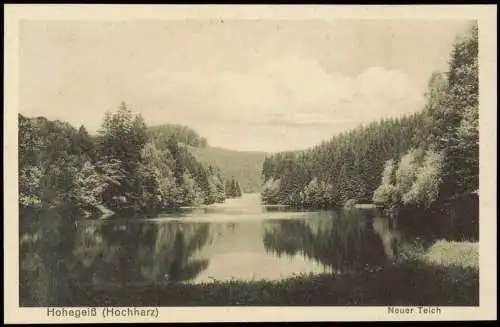 Ansichtskarte Hohegeiß-Braunlage Umland-Ansicht Hochharz Neuer Teich 1910