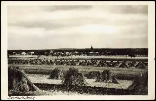 Ansichtskarte Hermannsburg Panorama-Ansicht (Fernansicht) 1960