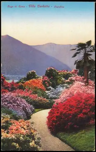 Cartoline Tremezzo Lago di Como Villa Carlotta Giardino 1910