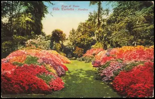 Cartoline Tremezzo Lago di Como Villa Carlotta Giardino (Garten) 1910