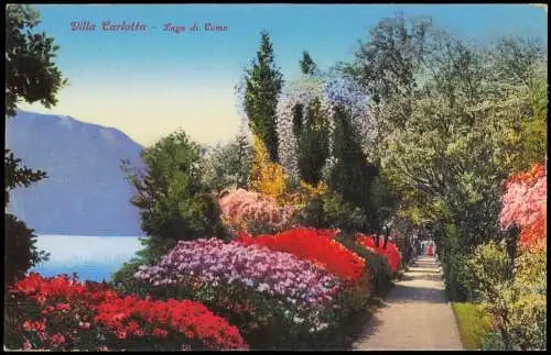 Tremezzo Villa Carlotta Lago di Como (Gartenseite, Botanik) 1910