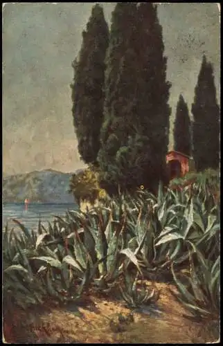 Riva del Garda Lago di Garda Gardasee Agaven bei San Vigilio  1908