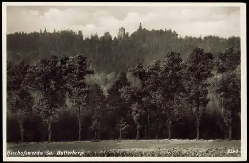 Ansichtskarte Bischofswerda Butterberg 1934