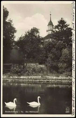 Ansichtskarte Bischofswerda Am Mühlteich Kirche Schwäne 1934