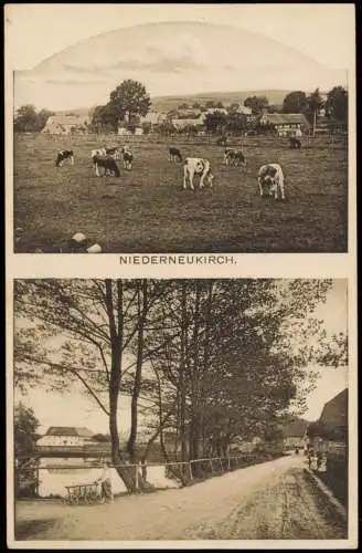 Niederneukirch Neukirch Lausitz Oberneukirch Wjazońca 2B Kühe Dorfstraße 1914