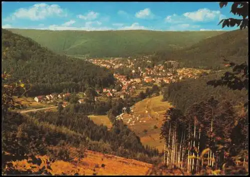 Ansichtskarte Bad Herrenalb Panorama-Ansicht 1975