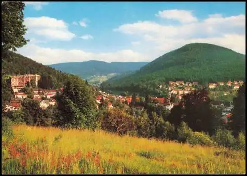 Ansichtskarte Bad Herrenalb Panorama-Teilansicht 1980