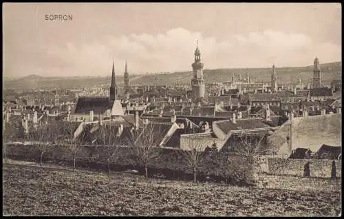 Postcard Ödenburg Sopron Totale 1913  Ungarn Magyar