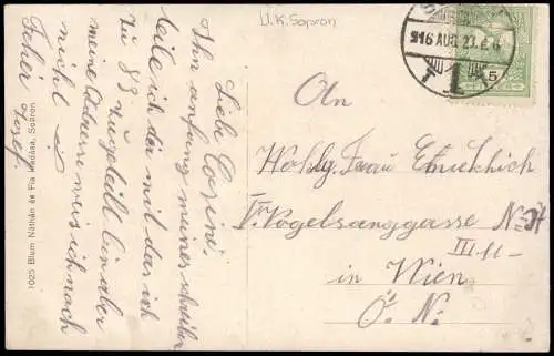 Postcard Ödenburg Sopron Partie an der Stadt 1918  Ungarn Magyar