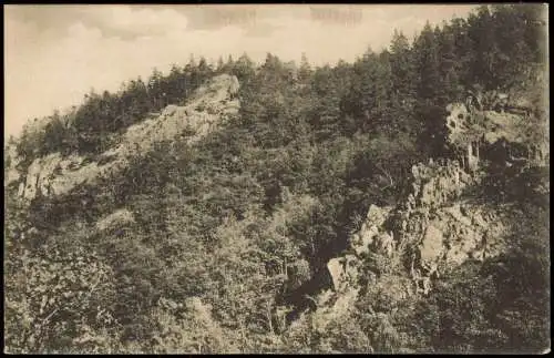 Ansichtskarte Bad Suderode Partie am Anhaltischen Saalstein 1911