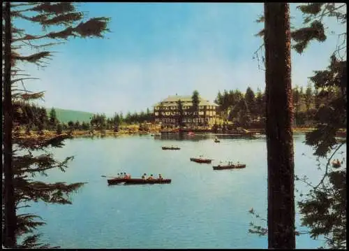 Ansichtskarte Achern Berghotel Mummelsee an der Schwarzwaldhochstraße 1970