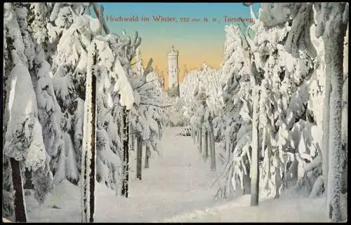 Ansichtskarte Oybin Hochwald im Winter Oberlausitz 1914