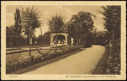 Ansichtskarte Erfurt Im Stadtpark Laubengang mit Teehaus 1916