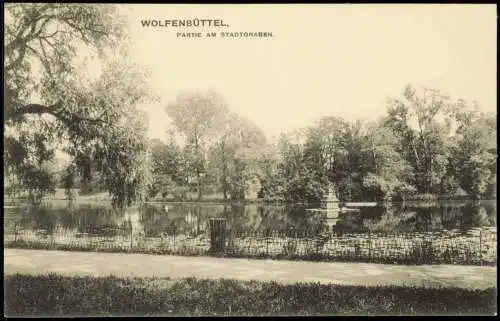 Ansichtskarte Wolfenbüttel Partie am Stadtgraben 1915