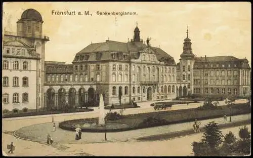 Ansichtskarte Frankfurt am Main Senkenbergianum. 1916