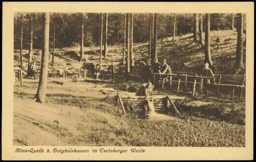 Ansichtskarte Borgholzhausen Alma-Quelle im Teutoburger Walde 1917