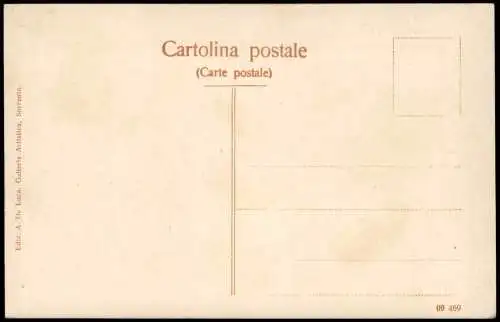 Cartoline Sorrent (Kampanien) Sorrento Panorama da Capodimonte 1910