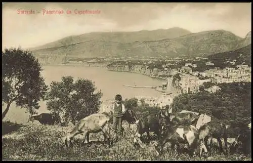 Sorrent (Kampanien) Sorrento Sorrento Panorama da Capodimonte 1910