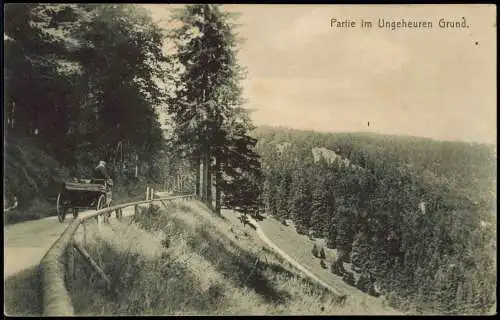 Ansichtskarte Friedrichroda Partie im Ungeheuren Grund. Kutsche 1913