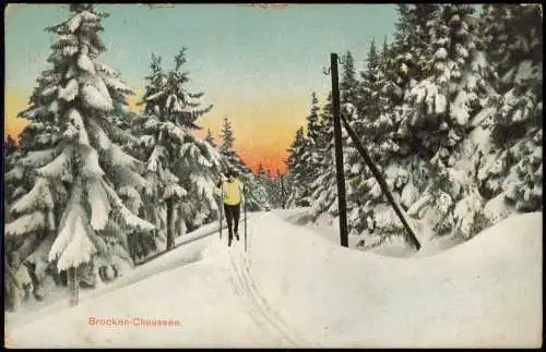 Ansichtskarte Ilsenburg (Harz) Brocken Harz Chausee Skiläufer Winter 1908