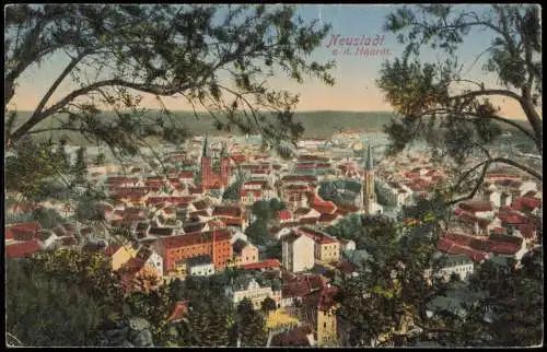 Neustadt an der Weinstraße  Haardt Blick über die Stadt Künstlerkarte 1924