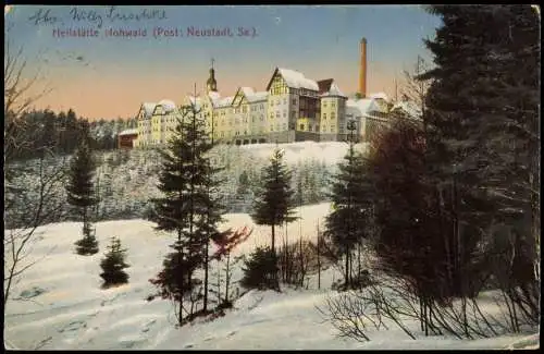 Ansichtskarte Hohwald (Sachsen) Heilstätte Hohwald im Winter 1919