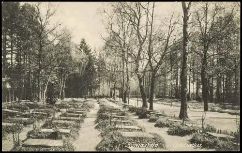 Ansichtskarte Königsfeld im Schwarzwald Gottesacker 1915