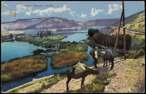 Postcard Sebenico Šibenik Mann mit Esel Kerka 1914