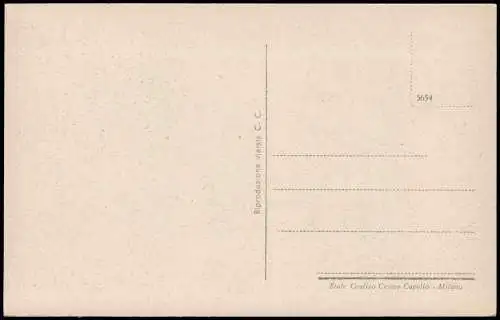 Cartoline Meran Merano Panarama verso Venosta 1920