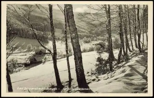 Bad Schwarzbach Bad Flinsberg  Świeradów-Zdrój Am Birkenwäldchen im Winter 1929