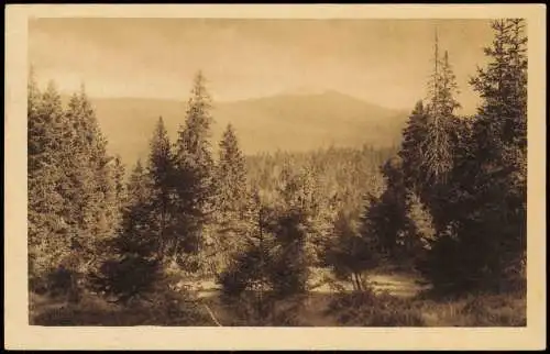 Ansichtskarte Finsterau Bayrischer Wald Lusen vom Plattenhausen 1924