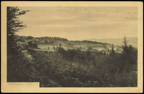 Ansichtskarte Finsterau Waldhäuser Gasthof z. Lusen Bayerischer Wald 1913