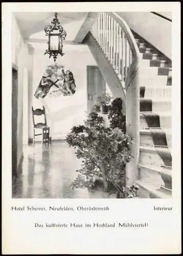 Ansichtskarte Neufelden Hotel Scherrer Oberösterreich Interieur 1962