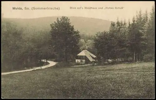 Ansichtskarte Mulda (Erzgebirge) Blick auf's Waldhaus und Hohen Schuß 1916