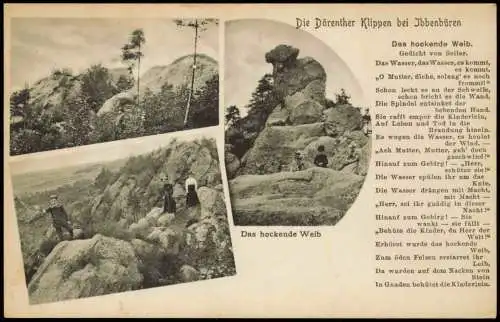 Ansichtskarte Ibbenbüren Mehrbild Dörenther Klippen Wanderer 1913