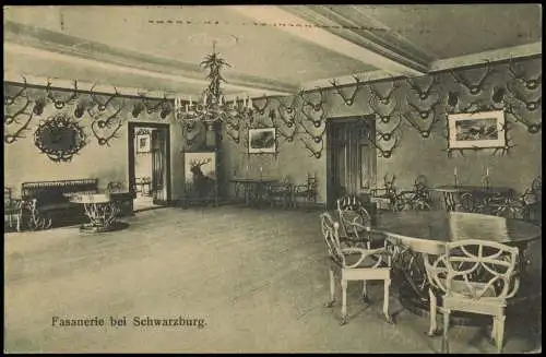 Ansichtskarte Schwarzburg Fasanerie Raum Innenansicht 1913