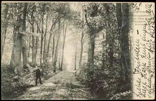 Ansichtskarte Bruhnskopppel-Malente Waldpartie am Krummensee 1907