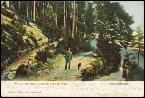 Ansichtskarte Amt Hohe Elbgeest Förster im Sachsenwald 1906  b. Hamburg