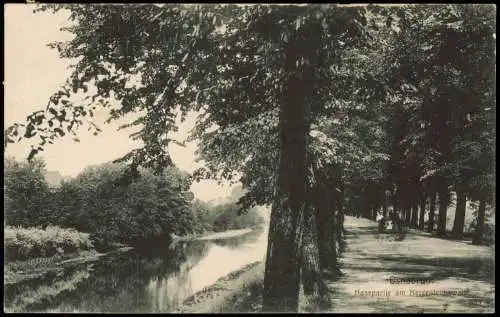 Ansichtskarte Osnabrück Hasepartie am Herrenteichswall 1914